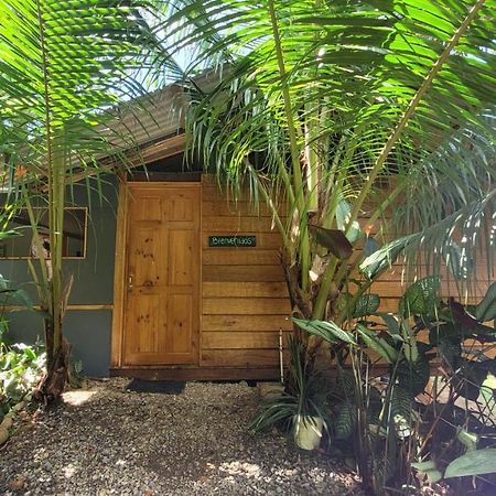 Private Jungle “Loft Del Rio” River Access Uvita Exterior foto