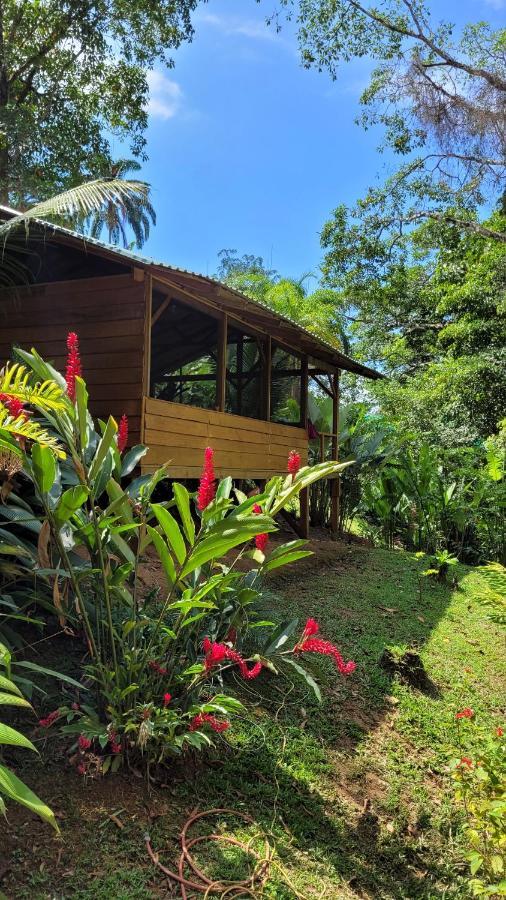 Private Jungle “Loft Del Rio” River Access Uvita Exterior foto