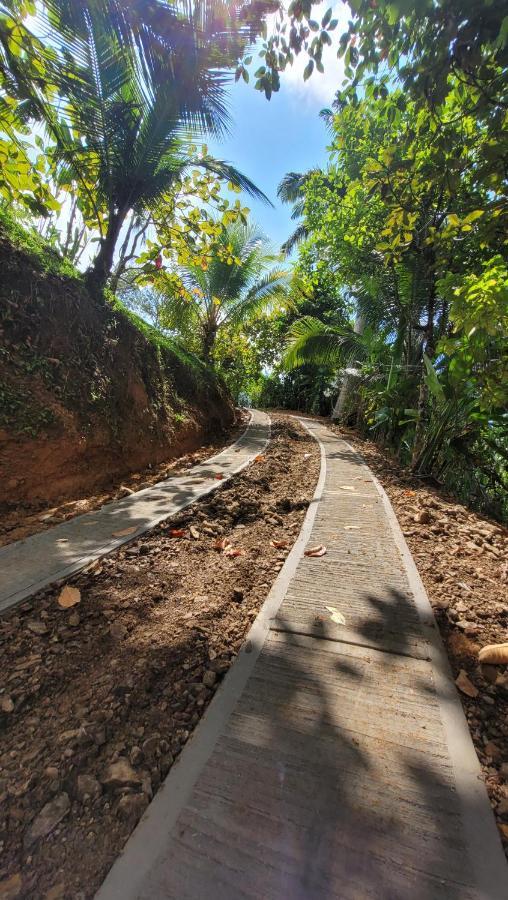 Private Jungle “Loft Del Rio” River Access Uvita Exterior foto