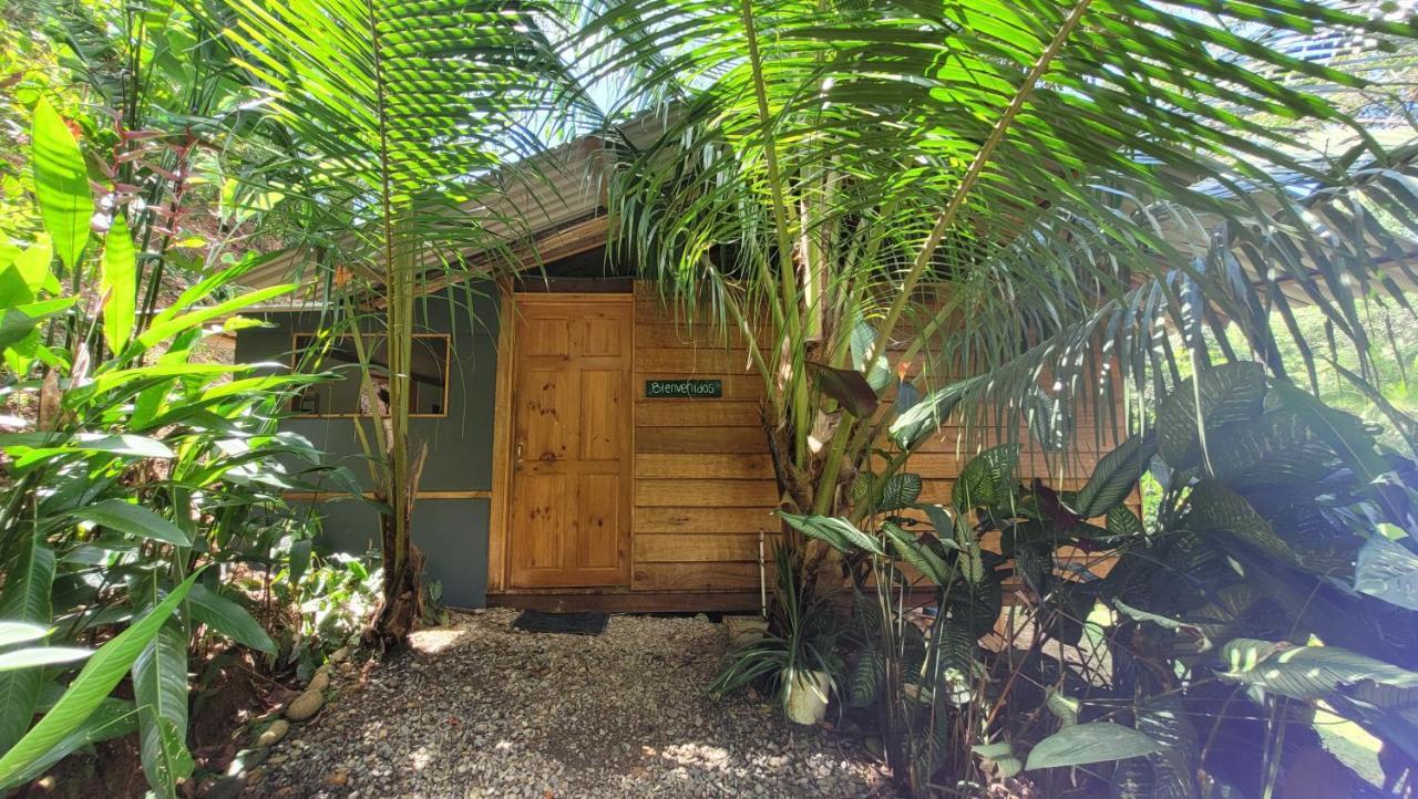 Private Jungle “Loft Del Rio” River Access Uvita Exterior foto