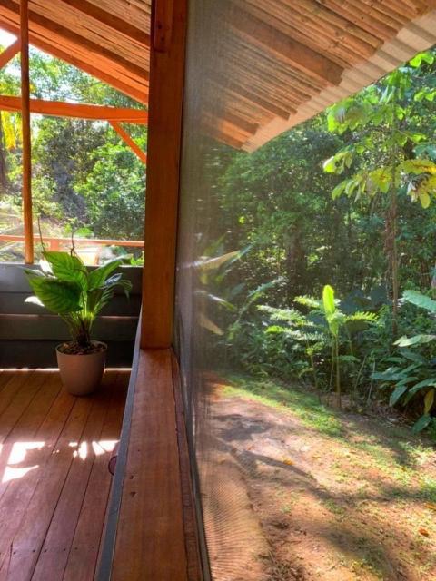 Private Jungle “Loft Del Rio” River Access Uvita Exterior foto